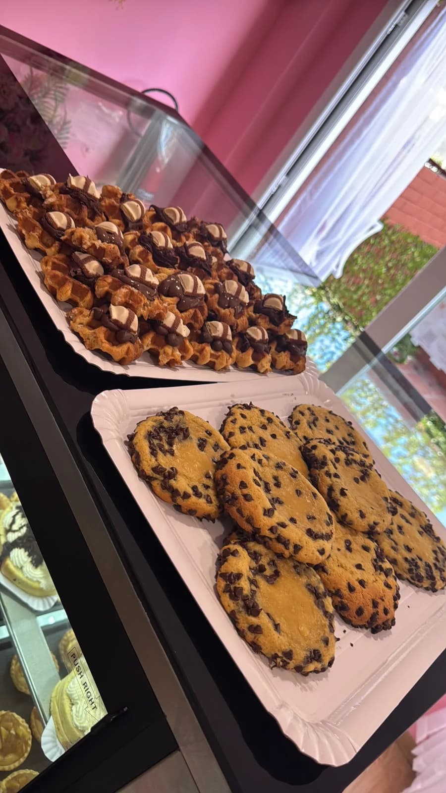 Vitrina de Pastryshei